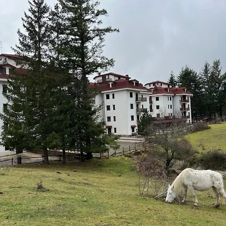 Casa Cucu Apartmán Livata